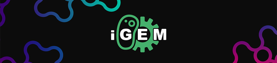 Concours iGEM 2022 : l’équipe iGEM IONIS entre dans l’histoire !