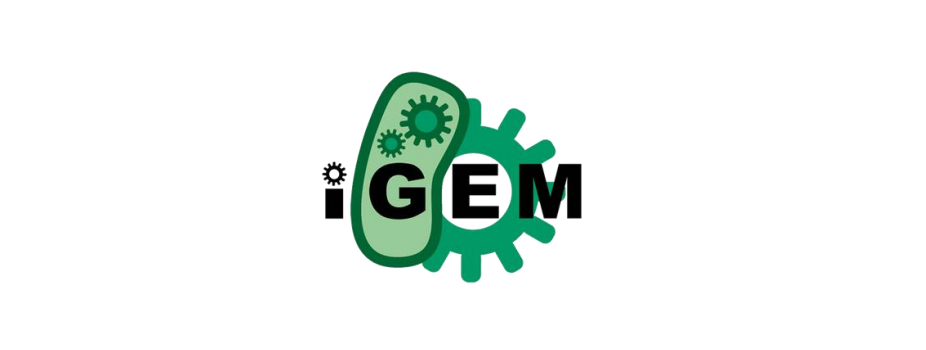 Aidez l’équipe iGEM IONIS 2022 et son projet StarchLight à viser la médaille d’or !